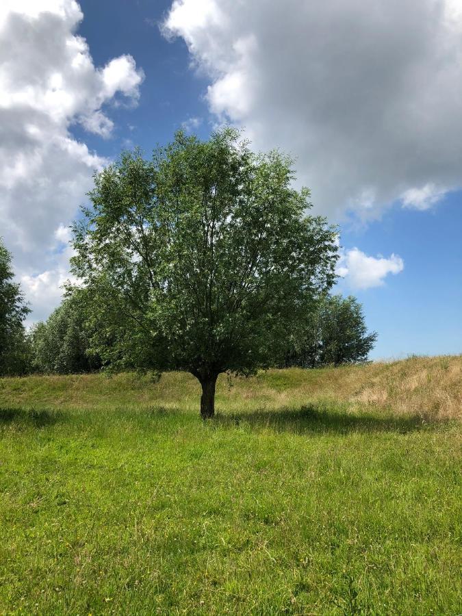 B&B De Tol Hulst Luaran gambar