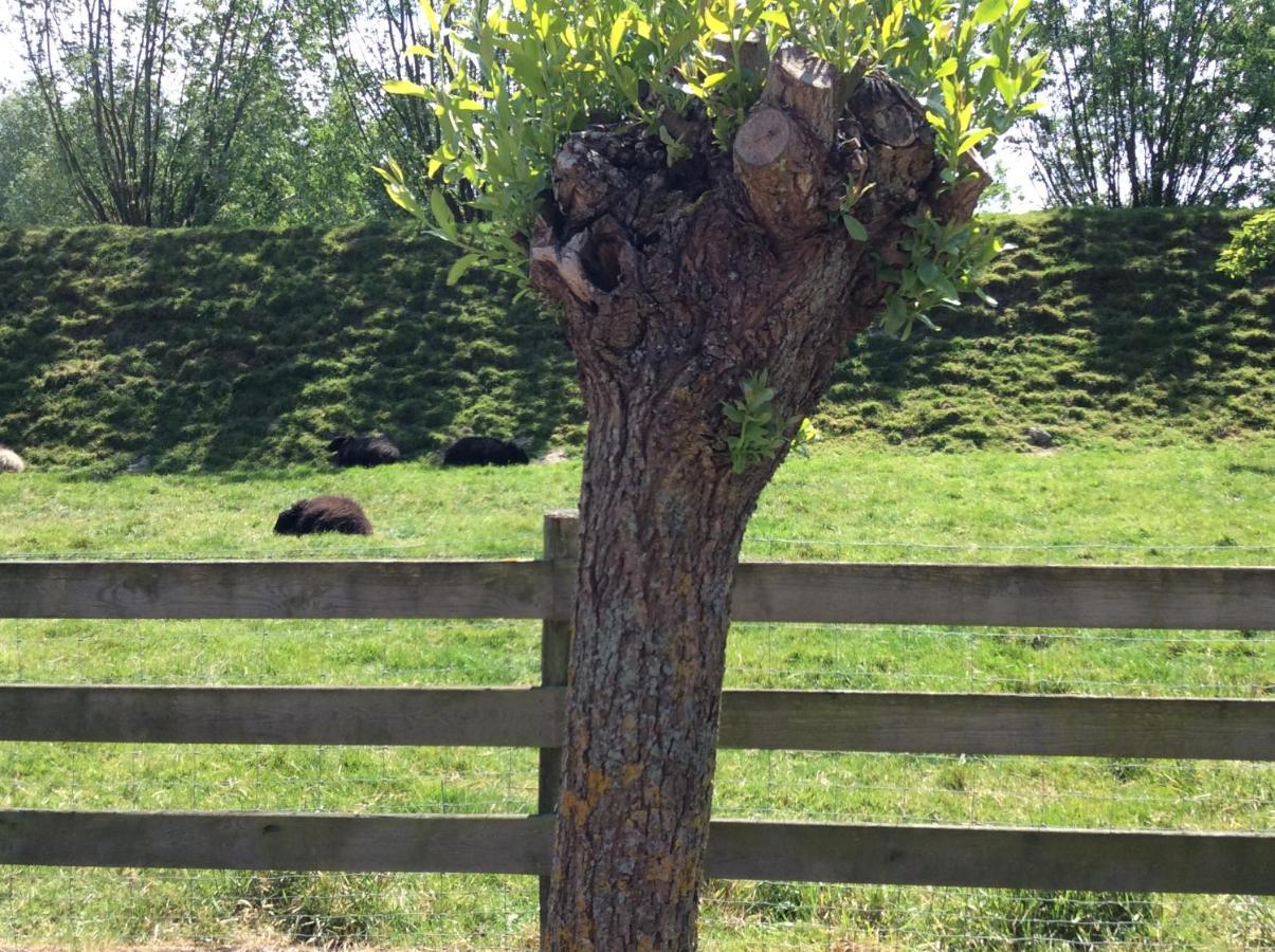 B&B De Tol Hulst Luaran gambar