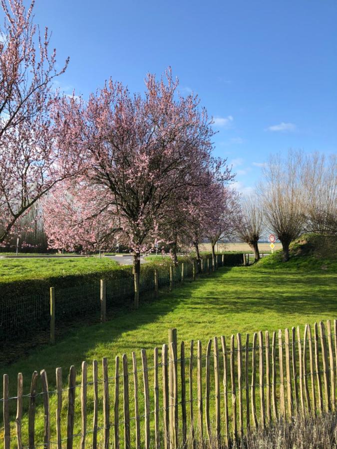 B&B De Tol Hulst Luaran gambar