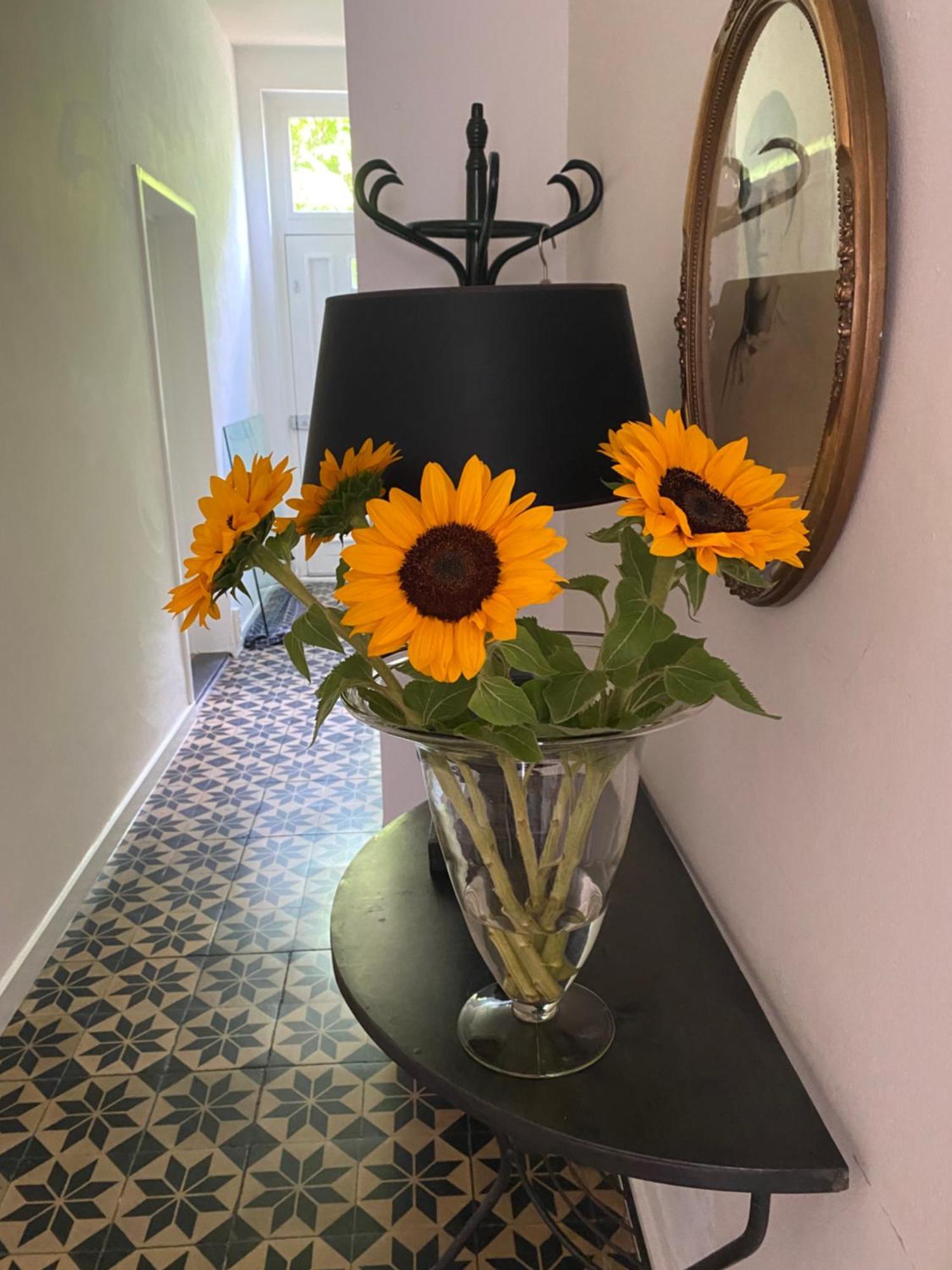 B&B De Tol Hulst Luaran gambar