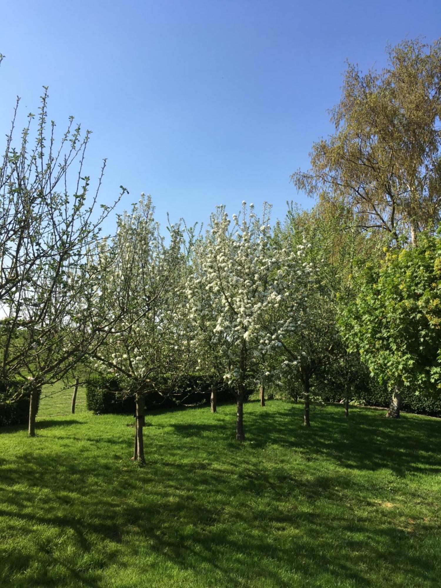 B&B De Tol Hulst Luaran gambar