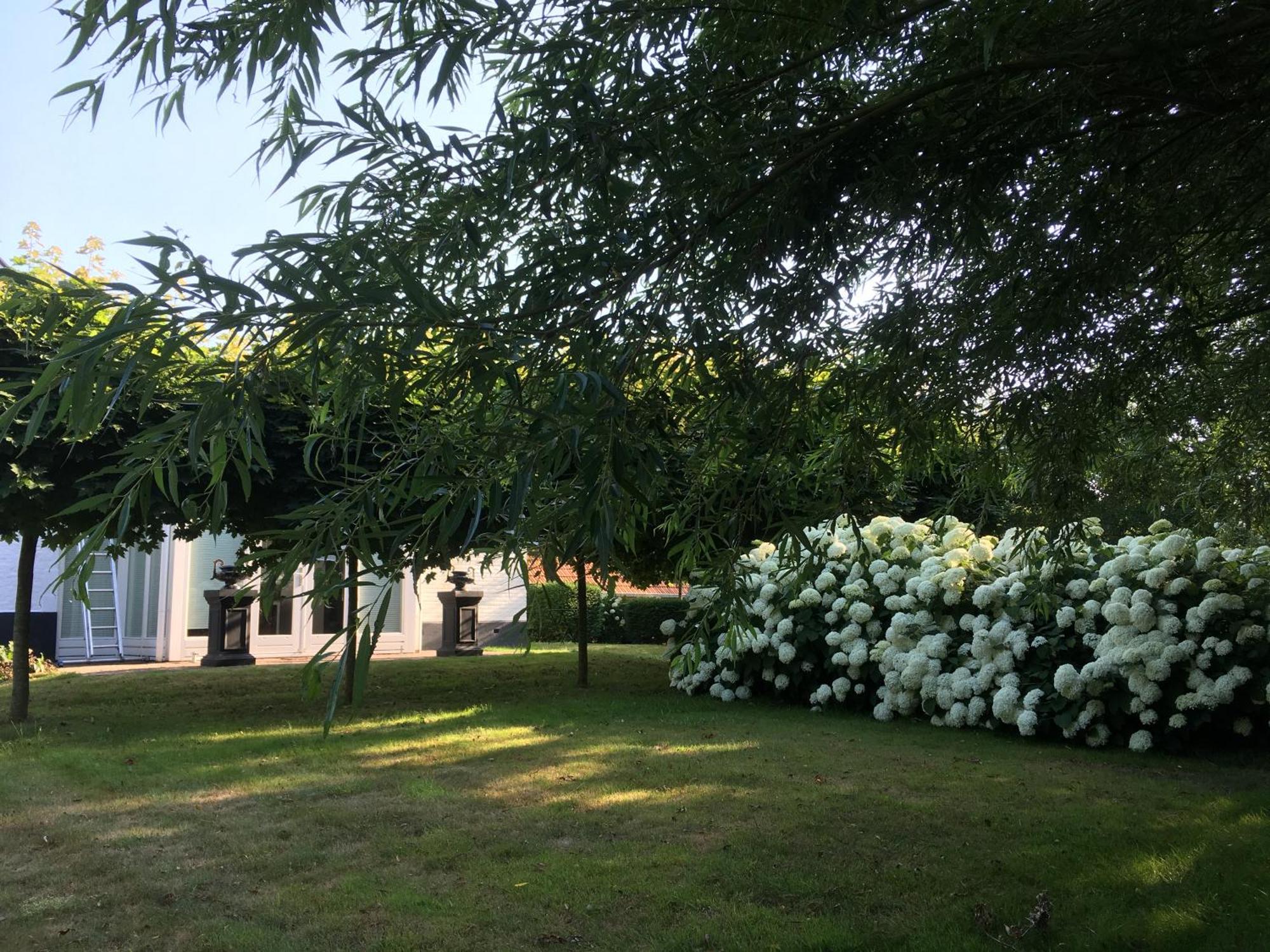B&B De Tol Hulst Luaran gambar